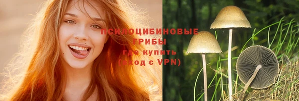 PSILOCYBIN Киреевск