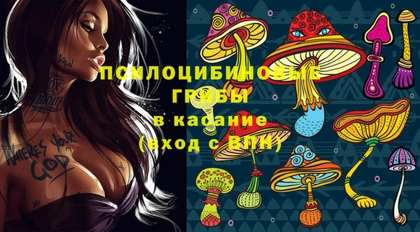 СК Кинешма
