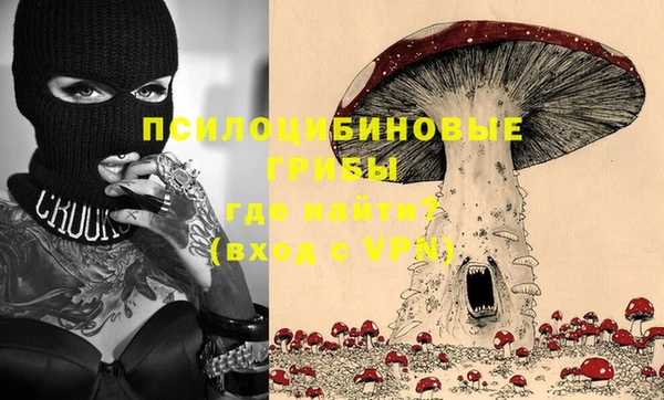PSILOCYBIN Киреевск